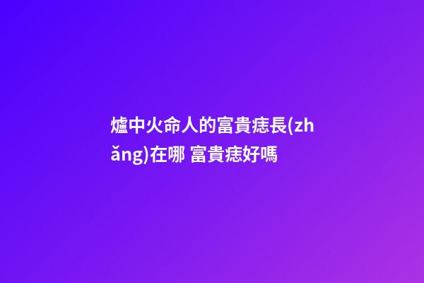 爐中火命人的富貴痣長(zhǎng)在哪 富貴痣好嗎